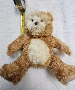 AI Artificial Intelligence Talking Super Toy Teddy Bear