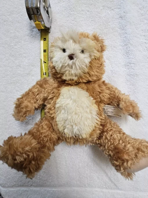 AI Artificial Intelligence Talking Super Toy Teddy Bear