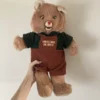 Teddy Ruxpin Clone Electronic Battery Operated Talking Bear